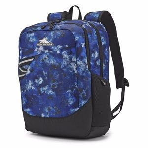 High Sierra Outburst Urban Decay 18" Backpack